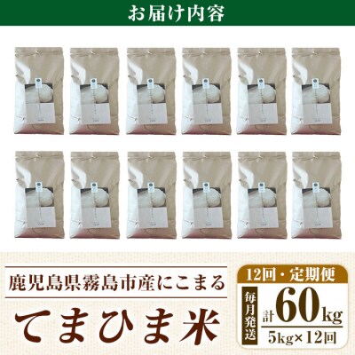  12回定期《令和7年産新米》てまひま米(品種:にこまる) (計60kg)【末蜜農園】K-198-G