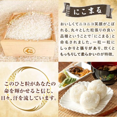  12回定期便《令和6年産》てまひま米(品種:にこまる)計60kg【末蜜農園】K-198-G