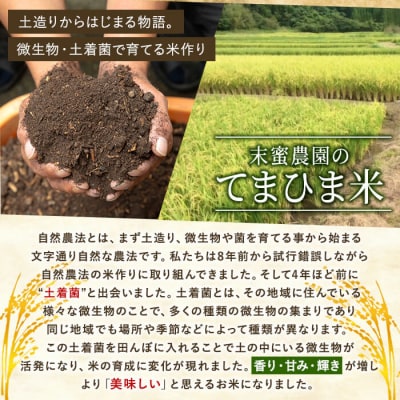  12回定期《令和7年産新米》てまひま米(品種:にこまる) (計60kg)【末蜜農園】K-198-G