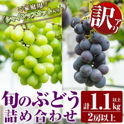 訳あり!シャインマスカット入り旬のぶどう・ご家庭用詰め合わせ 2房以上【二月田ぶどう園】A0-248