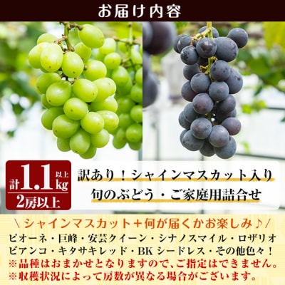 訳あり!シャインマスカット入り旬のぶどう・ご家庭用詰め合わせ 2房以上【二月田ぶどう園】A0-248