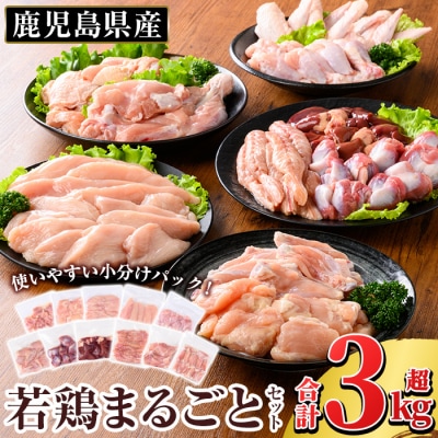 鹿児島県産 若鶏まるごとセット(計3.05kg)【TRINITY】K-213