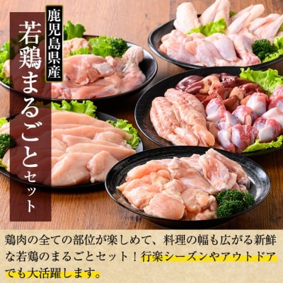 鹿児島県産 若鶏まるごとセット(計3.05kg)【TRINITY】K-213