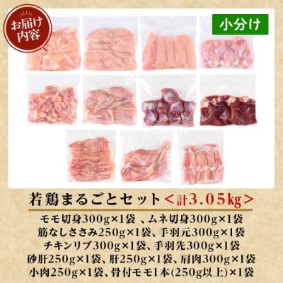 鹿児島県産 若鶏まるごとセット(計3.05kg)【TRINITY】K-213