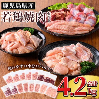 鹿児島県産 若鶏焼肉セット(合計4.2kg)【TRINITY】K-221