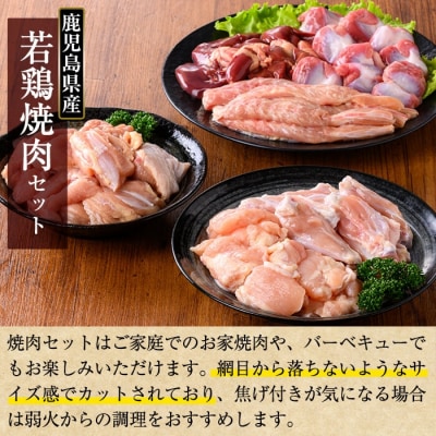 鹿児島県産 若鶏焼肉セット(合計4.2kg)【TRINITY】K-221