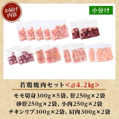 鹿児島県産 若鶏焼肉セット(合計4.2kg)【TRINITY】K-221