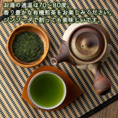特上有機煎茶2本セット(80g×2本) 【ヘンタ製茶】K-222