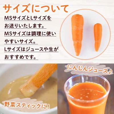  《先行受付》有機にんじん(合計3.5kg) 【もりやま農園】K-226