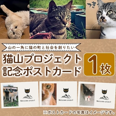猫山プロジェクト記念ポストカード【chichinpuipui王国★猫山プロジェクト】K-270