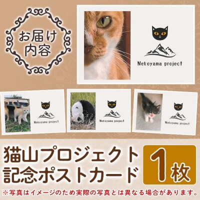 猫山プロジェクト記念ポストカード【chichinpuipui王国★猫山プロジェクト】K-270