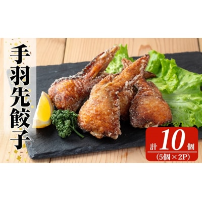 霧島高原純粋黒豚使用!奇跡の手羽先餃子(5個×2P計10個)【MAGONIMO餃子】K-285-A 