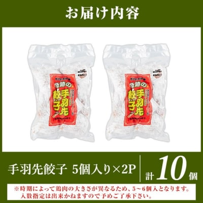 霧島高原純粋黒豚使用!奇跡の手羽先餃子(5個×2P計10個)【MAGONIMO餃子】K-285-A 