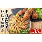 霧島高原純粋黒豚使用!餃子2種セット【MAGONIMO餃子】 K-285-C