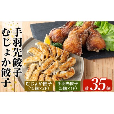 霧島高原純粋黒豚使用!餃子2種セット【MAGONIMO餃子】 K-285-C