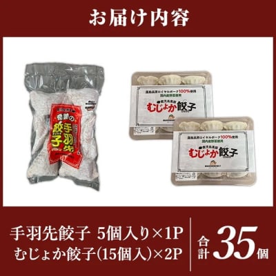 霧島高原純粋黒豚使用!餃子2種セット【MAGONIMO餃子】 K-285-C