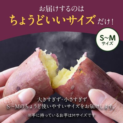 鹿児島霧島のさつまいも「霧の絹」2kg【オーガランド】K-278-A