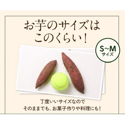 《先行受付》鹿児島霧島のさつまいも「霧の絹」2kg【オーガランド】K-278-A