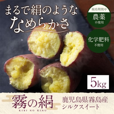 鹿児島霧島のさつまいも「霧の絹」5kg【オーガランド】K-278-B