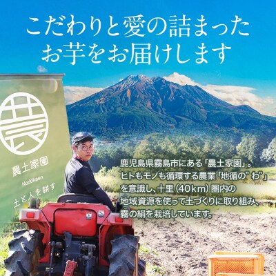 鹿児島霧島のさつまいも「霧の絹」5kg【オーガランド】K-278-B