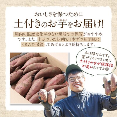 鹿児島霧島のさつまいも「霧の絹」5kg【オーガランド】K-278-B