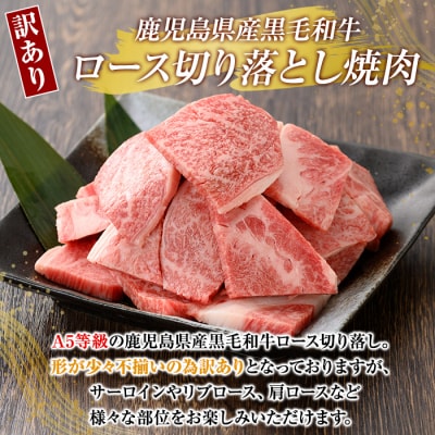 【訳あり・不揃い】黒毛和牛ロース切り落とし焼肉(500g)【ビーフ倉薗】】K-321