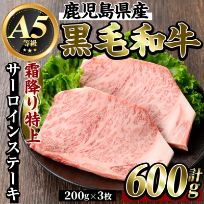 県産黒毛和牛《A5等級》霜降り特上サーロインステーキ(600g)【ビーフ倉薗】K-318-B