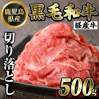 鹿児島県産黒毛和牛(経産牛)おためし切り落とし(500g)【ビーフ倉薗】K-323