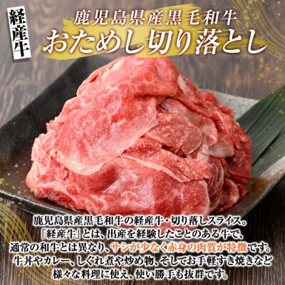 鹿児島県産黒毛和牛(経産牛)おためし切り落とし(500g)【ビーフ倉薗】K-323