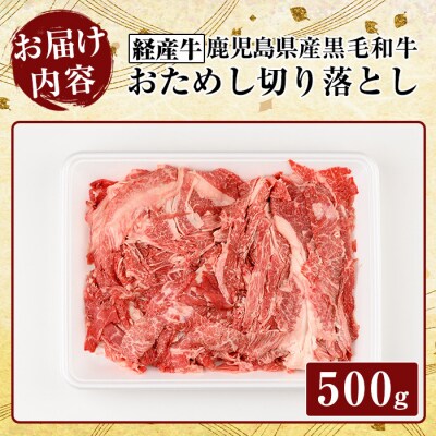 鹿児島県産黒毛和牛(経産牛)おためし切り落とし(500g)【ビーフ倉薗】K-323