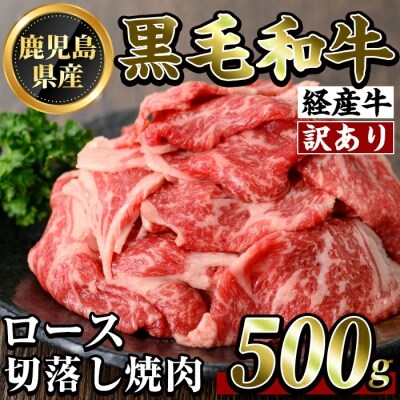 【訳あり・不揃い】県産黒毛和牛(経産牛)ロース切り落とし焼肉(500g)【ビーフ倉薗】K-325