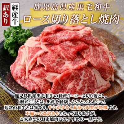 【訳あり・不揃い】県産黒毛和牛(経産牛)ロース切り落とし焼肉(500g)【ビーフ倉薗】K-325