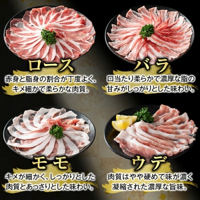 かごしま味わい黒豚スライスバラエティパック(合計1.2kg )【ふるさと産直バザール】K-364-A