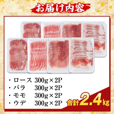 かごしま味わい黒豚スライスバラエティパック(合計2.4kg )【ふるさと産直バザール】K-364-B