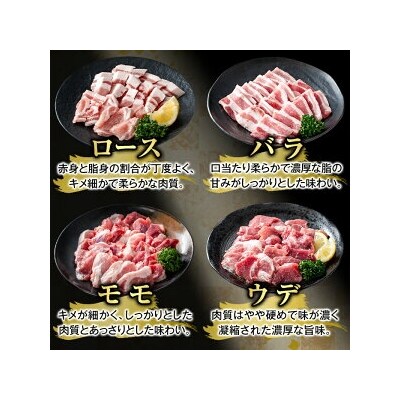 かごしま味わい黒豚 焼肉ファミリーパック(合計2.4kg)【ふるさと産直バザール】K-370-B