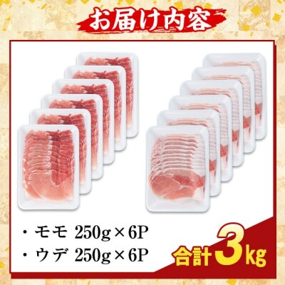 鹿児島県産霜降りトロ豚 赤身スライスセット(合計3kg)【ふるさと産直バザール】K-376-C
