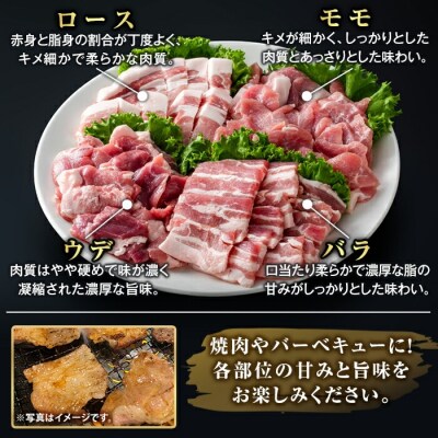 鹿児島県産霜降りトロ豚 焼肉用バラエティセット(合計3kg)【ふるさと産直バザール】K-379-C