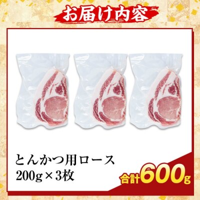 鹿児島県産霜降りトロ豚 ロースとんかつ用(計600g)【ふるさと産直バザール】K-382-A 
