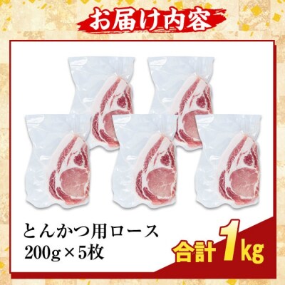 鹿児島県産霜降りトロ豚 ロースとんかつ用(計1kg)【ふるさと産直バザール】K-382-B