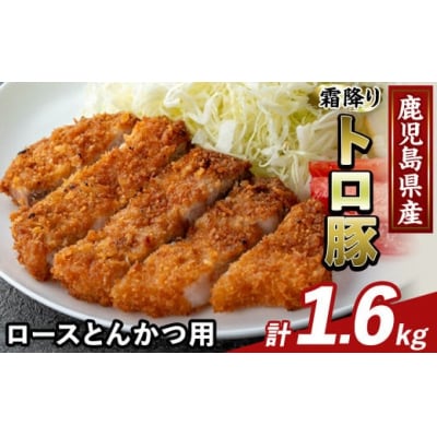鹿児島県産霜降りトロ豚 ロースとんかつ用(計1.6kg)【ふるさと産直バザール】K-382-C