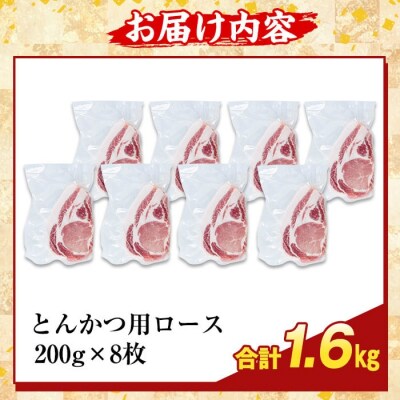 鹿児島県産霜降りトロ豚 ロースとんかつ用(計1.6kg)【ふるさと産直バザール】K-382-C