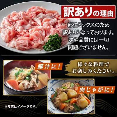 ＜訳あり＞鹿児島県産霜降りトロ豚 こま切れ(計2.4kg)【ふるさと産直バザール】K-385-B 