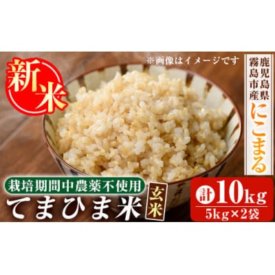 先行受付《令和7年産新米》てまひま米・玄米(品種:にこまる)(計10kg)【末蜜農園】K-391-C