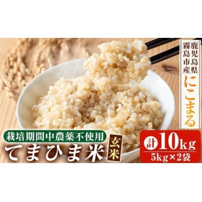 《令和7年産》てまひま米・玄米(品種:にこまる)(計10kg)【末蜜農園】K-391-C