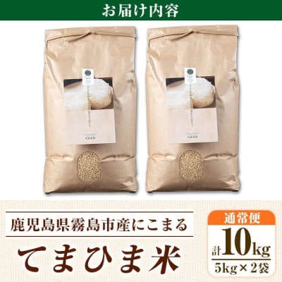 先行受付《令和7年産新米》てまひま米・玄米(品種:にこまる)(計10kg)【末蜜農園】K-391-C