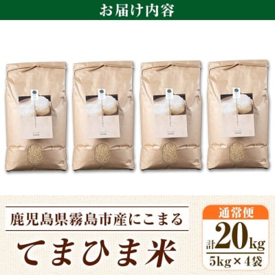 先行受付《令和7年産新米》てまひま米・玄米(品種:にこまる)(計20kg)【末蜜農園】K-391-D