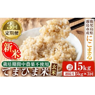 3回定期《R7年産新米》てまひま米・玄米(品種:にこまる)(計15kg)【末蜜農園】K-391-E