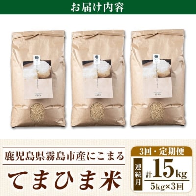 3回定期《R7年産新米》てまひま米・玄米(品種:にこまる)(計15kg)【末蜜農園】K-391-E