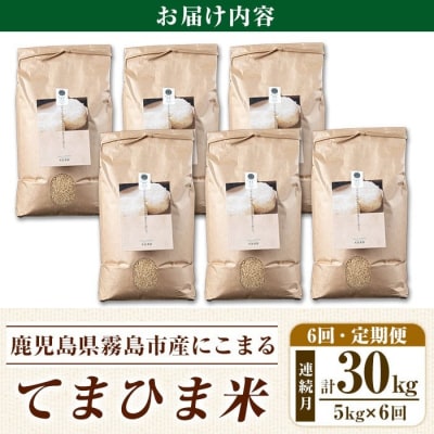 6回定期《R7年産新米》てまひま米・玄米(品種:にこまる)(計30kg)【末蜜農園】K-391-F