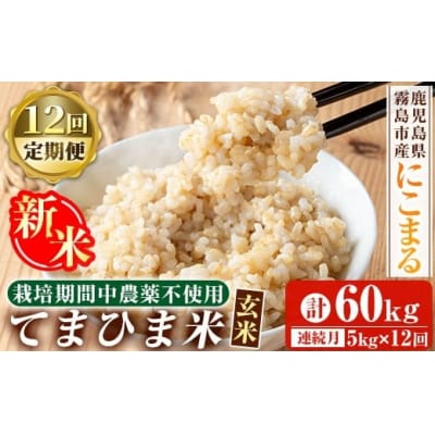 12回定期《R7年産新米》てまひま米・玄米(品種:にこまる)(計60kg)【末蜜農園】K-391-G